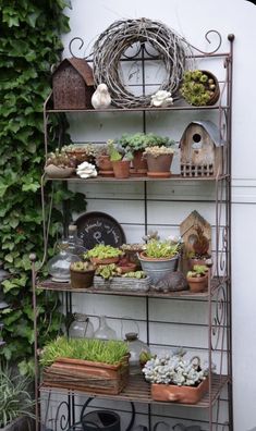 a shelf filled with lots of potted plants