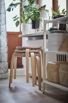 three wooden stools sitting in front of a window next to a potted plant