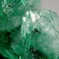 green crystals with white speckles on them