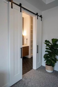 an open door leading to a bathroom with a potted plant