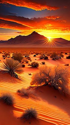 the sun is setting over a desert landscape