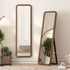 two mirrors are next to each other on the floor in front of a plant and potted cacti