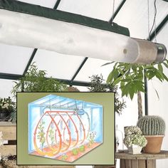 an image of a greenhouse with plants in it and a painting on the wall next to it