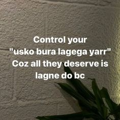 a plant is sitting in front of a brick wall with the words control your'usko bura lage yar'coz all they deserves is lagene