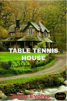 the table tennis house by mario evvove is featured in this book cover image