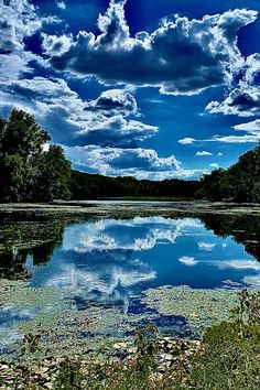 the sky is full of clouds and water in this lake with lily pads on the bank