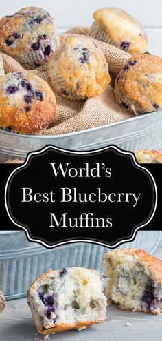 world's best blueberry muffins in a pan