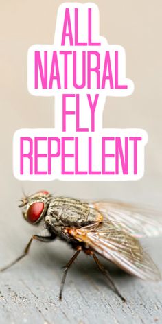 a fly with the words all natural fly repellent on it's side