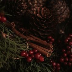 pine cones, cinnamon sticks and cranberries are arranged on the table