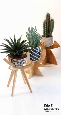 three potted plants sitting on wooden stands