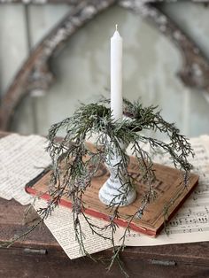 a white candle sitting on top of a table next to a book and some plants