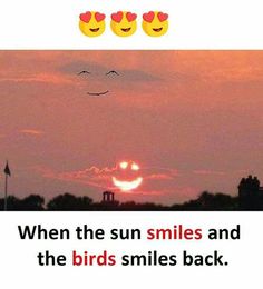 the sun smiles and the birds smiles back at mememememescom com