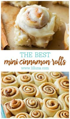 the best mini cinnamon rolls recipe