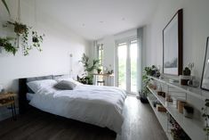 a bedroom with white walls and wooden flooring has plants on the shelves above the bed