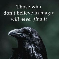 a black bird sitting on top of a tree branch with a quote above it that reads, those who don't believe in magic will never find it