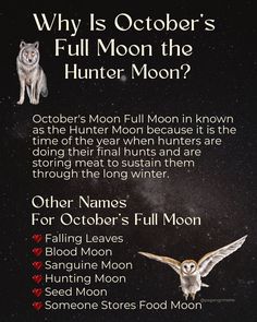 Tap into the bold energy of October’s full moon to set goals, release negativity, and manifest your desires with the Hunter Moon. Get ready to take action and hunt down your dreams! #HuntersMoon #FullMoonRitual #ManifestationMagic Crescent Moon Ritual, Release Negativity