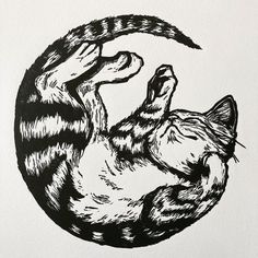 a black and white drawing of a cat curled up in the shape of a circle