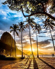 the sun is setting behind some palm trees and people are walking on the beach in front of them