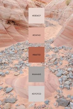 Color Palette Sand, Colors That Compliment Gray, Desert Colors, Paint Color Schemes, Brand Color Palette, Color Palate, Color Palette Design