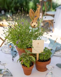 there are two potted plants on top of each other at the table with place cards in them