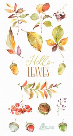 watercolor fall leaves and berries with the words hello leaves written in gold on it