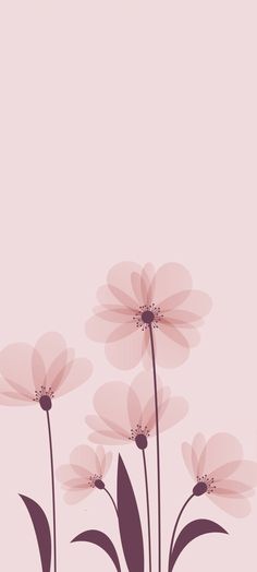 some pink flowers on a light pink background