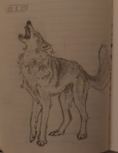 a pencil drawing of a wolf standing on top of a book with writing underneath it