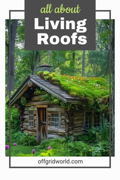 an old log cabin with moss growing on top and the words, all about living roofs