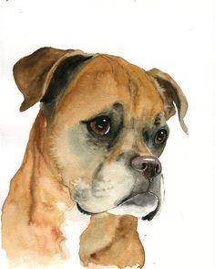 a watercolor painting of a dog's face with brown and white fur on it