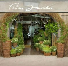 an entrance to a store with potted plants