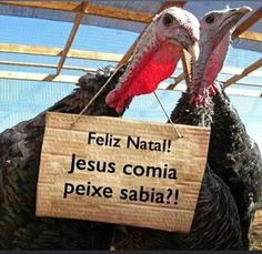 two turkeys are holding a sign that says feliz natal jesus comia pexe sabia?