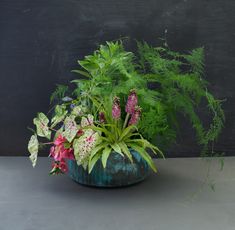 a potted plant sitting on top of a table next to a blackboard wall