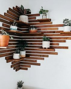 wooden shelves with plants and potted plants on them in the corner of a room