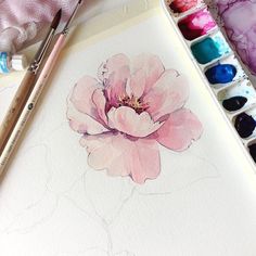 a watercolor painting of a pink flower on white paper next to paintbrushes