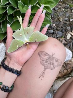 a small moth sitting on top of a woman's arm next to a plant