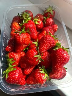 a plastic container filled with lots of ripe strawberries