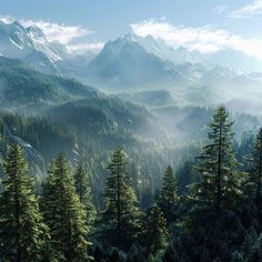 the mountains are covered with trees and fog