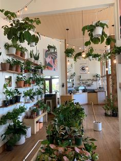 a room filled with lots of potted plants and lights hanging from the ceiling above