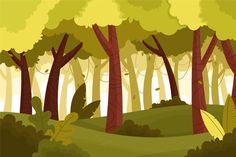 an image of a forest scene with trees