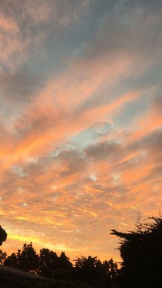 the sun is setting over some trees and bushes in front of an orange sky with wispy clouds