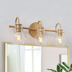 a bathroom vanity with two lights and a mirror on the wall next to a potted plant