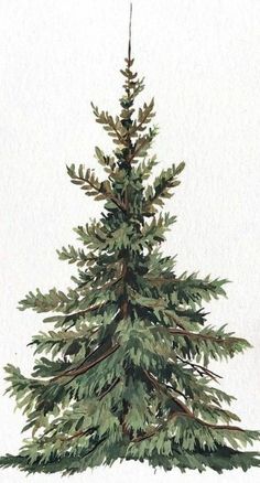 a watercolor painting of a pine tree