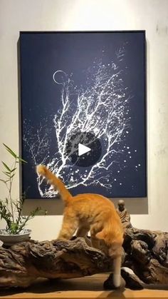 an orange cat standing on top of a wooden table next to a vase filled with plants