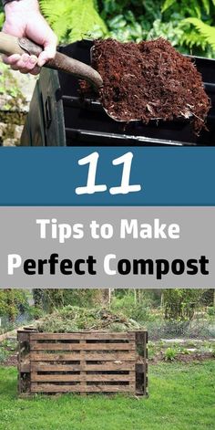 the words 11 tips to make perfect compost