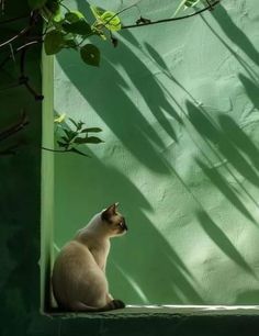 a white cat sitting on top of a window sill next to a green wall