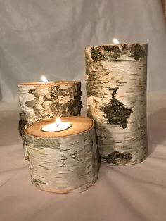 two white birch trees with one lit candle