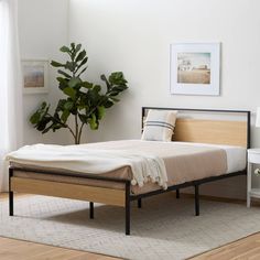 a bed sitting on top of a wooden floor next to a white table with a potted plant