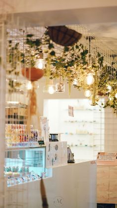 a store with plants hanging from the ceiling