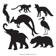 various silhouettes of animals and birds in black on white background, including an elephant, kangaroo