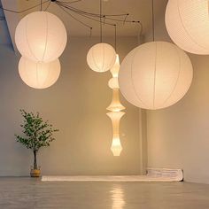 several white paper lanterns hanging from the ceiling in an empty room with a potted plant